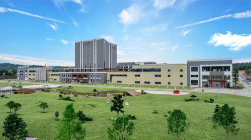 你好 我是建寧,這是我的四張名片......