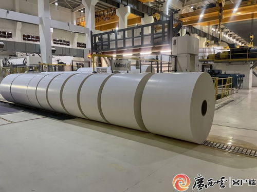 欽州港片區19家企業獲國家級認定 央廣網