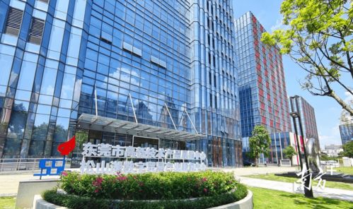 松山湖推出數字貿易百億企業培育計劃,甄選優質高企予以扶持