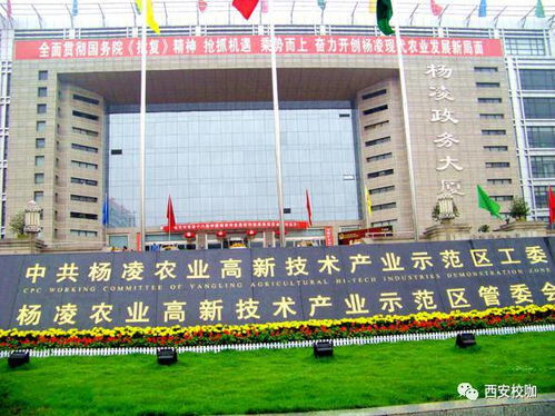 倒計(jì)時(shí)！第二十四屆楊凌農(nóng)高會(huì)搶先看 農(nóng)科秀再添國(guó)際范兒，高新技術(shù)領(lǐng)航現(xiàn)代農(nóng)業(yè)